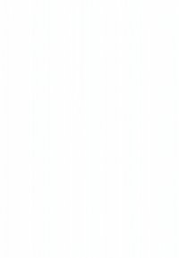 Leere weiße Oberfläche mit vertikaler Textur, einheitlicher Farbe, glatter Oberfläche, ohne Muster, Hardware oder zusätzliche sichtbare Details.