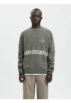 PULLOVER  - Strikkegenser - grey melange