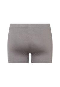 Boxer in grigio realizzati in un tessuto morbido e elasticizzato. Presentano un design aderente con una cintura senza cuciture e una texture liscia.