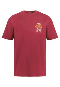 Punainen puuvillapaita, jossa on lyhyet hihat, pyöreä kaula-aukko ja keltainen graafinen printti kotkasta, jossa lukee "American Eagle Heritage" rinnassa.