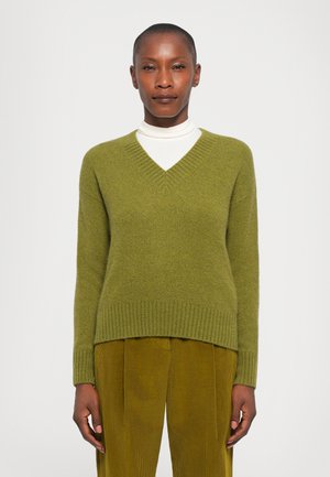 Green v-neck sweater with ribbed hem and cuffs, made of soft material, paired with olive-green corduroy pants. Simple design and textured finish.