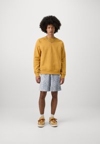 HUF INSTINCT EASY UNISEX - Šortai - ash