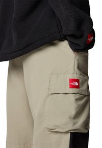 The North Face HIMALAYAN - Kareiviško stiliaus kelnės - clay grey tnf black