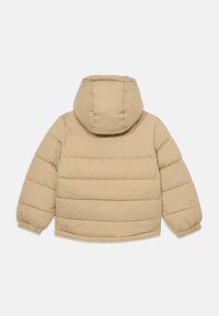 Hellbrauner, gepolsterter Blouson mit Kapuze, langen Ärmeln und elastischen Bündchen, von hinten auf einem weißen Hintergrund gezeigt.