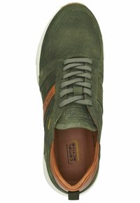 camel active Sneaker low - olive
