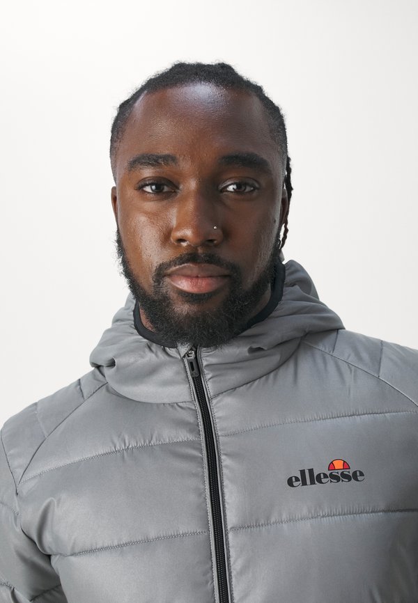 VERMENTINO JACKET - Winter jacket - silver3