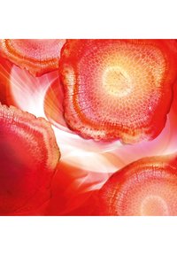 Immagine in miniatura 5