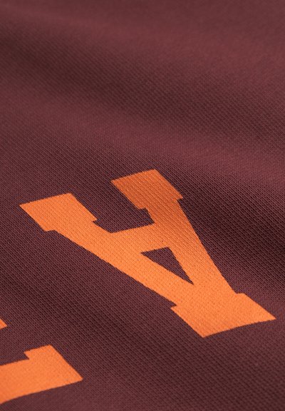 WOOD WOOD WWJAMES AAARC - Sweat à capuche - decadent chocolate