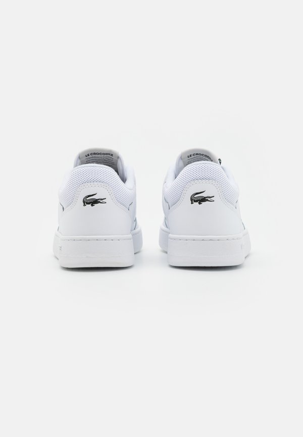 LINESET 223 1  - Trainers2