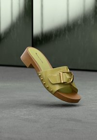 Non sélectionné, olive