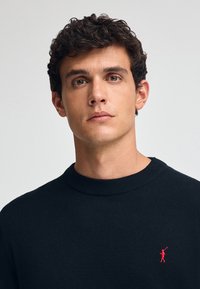 Pull bleu marine foncé avec un col rond côtelé, fabriqué à partir d'un matériau doux. Présente un petit logo rouge sur la gauche de la poitrine.