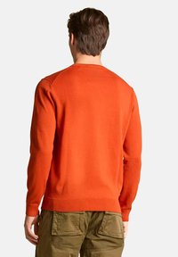 Maglione arancione lavorato a maglia con collo rotondo, orlo e polsini a coste. Presenta una texture liscia e un design aderente, indossato sopra pantaloni cargo verde oliva.