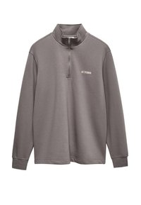 Gray half-zip pullover sweatshirt made of soft fabric. Features a high collar with a silver zipper and a printed logo on the chest.