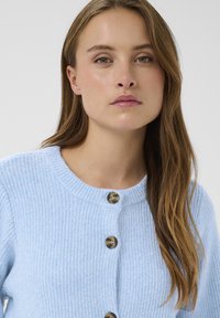 Gaiši zils adīts džemperis ar ribotu tekstūru, apaļu dekoltē un četriem zeltainiem pogām priekšā. Mīksta auduma ar garām piedurknēm.