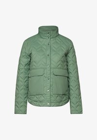 Non sélectionné, grün