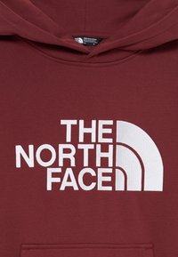 The North Face TEEN HOODIE - Športni pulover - sumac