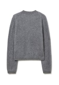 Grauer Wollpullover mit Rundhalsausschnitt, langen Ärmeln und cropped Design; hat eine weiche, strukturierte Oberfläche.