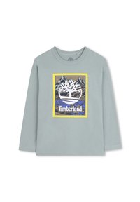 Lichtgrijze longsleeve t-shirt met een kleurrafische outdoor-thema en de tekst "Timberland" gecentreerd in een rechthoekig ontwerp.
