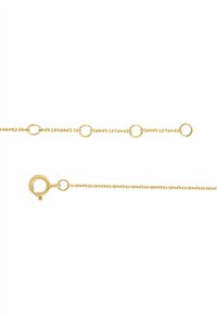 Cadena de oro con eslabones circulares, superficie texturizada y cierre de anillo de resorte. Diseño sencillo y elegante.