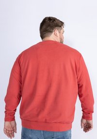 Rode sweatshirt met lange mouwen, ronde halslijn en ribgebreide manchetten, met een gladde textuur en een ontspannen pasvorm. Achteraanzicht.