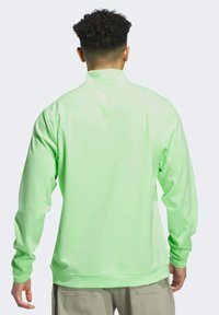 Felpa verde chiaro con colletto alto, maniche lunghe e texture liscia, caratterizzata da un design semplice e polsini elastici.