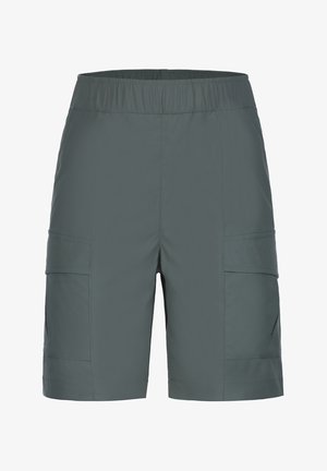 Shorts cargo gris avec une taille élastique, dotés de plusieurs poches latérales et d'une texture de tissu lisse et léger.
