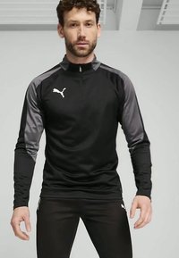 Puma INDIVIDUALLIGA 1/4 ZIP TOP - Μπλούζα με μακριά μανίκια - black  white shadow gray