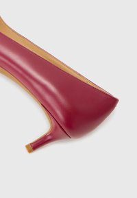 Scarpa con tacco alto in pelle bordeaux, con punta affusolata e tacco a blocco trasparente di piccole dimensioni, caratterizzata da una superficie liscia e priva di decorazioni visibili.