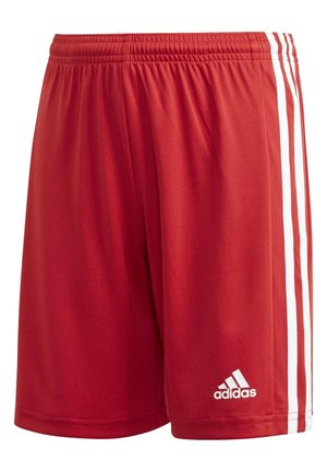 adidas Performance SQUADRA 21 SHORTS - Urheilushortsit - red