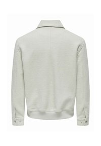 Light gray, textured sweater with a collared neck, buttoned cuffs, and ribbed hem, featuring a smooth finish and tailored design.