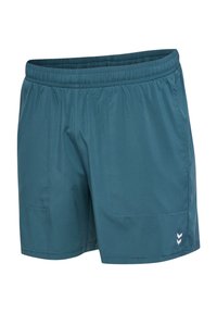 Tealfärgade sportshorts med elastisk midja. Har två sidofickor och en liten vit logotyp nära fållen. Tillverkade av lätt, slätt material.