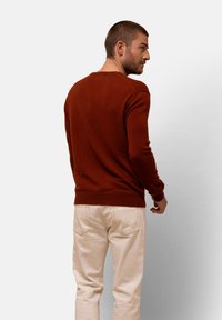 Rostfärgad stickad tröja med långa ärmar, rund halsringning och ribbstickade ärmslut. Buren med ljusa beige byxor, sedd bakifrån.