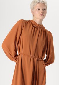 Rochie de culoare ruginie, cu mâneci lungi și vaporoase, și un guler înalt. Dispune de o talie strânsă și o curea asortată. Material neted, ușor.