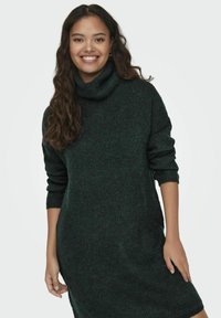 JDY INGEBORG LIFE ROLL NECK - Strickkleid - scarab