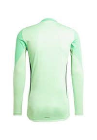 Maglietta atletica a maniche lunghe di un verde menta chiaro. Realizzata in tessuto morbido con pannelli laterali neri a contrasto. Presenta un collo rotondo.