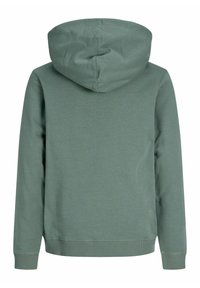 Sweat à capuche vert mat uni, manches longues avec poignets et ourlet côtelés, vu de dos sur fond blanc.