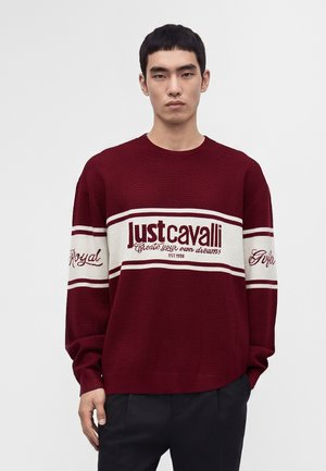 Young man with short black hair wearing a maroon sweater with white stripes and "Just Cavalli" text standing against a plain light background.
