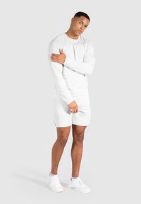 Smilodox POWERFIT SPORT PERFORMANCE - Langarmshirt - grau