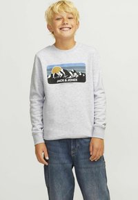 Sudadera gris con un gráfico de montaña y sol, con rayas azules y negras. Puños y dobladillo acanalados, tejido de mezcla de algodón. Corte casual.