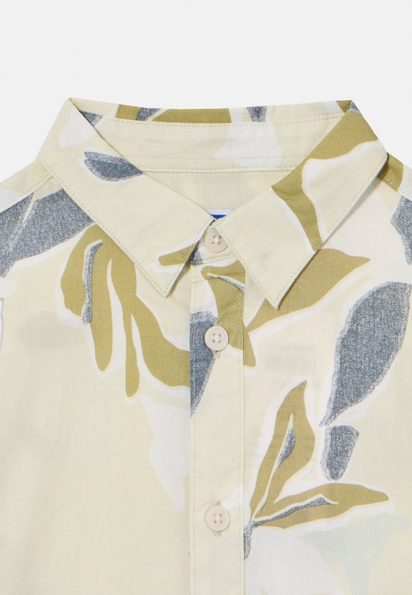 JORJOSHUA ALMERIA - Shirt - celadon2