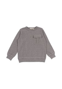 Felpa grigia con collo rotondo, maniche lunghe, polsini a coste e una tasca con pieghe verticali sul davanti. Tessuto morbido.