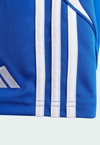 adidas Performance TIRO 24 - Kurze Sporthose - royal blue   white