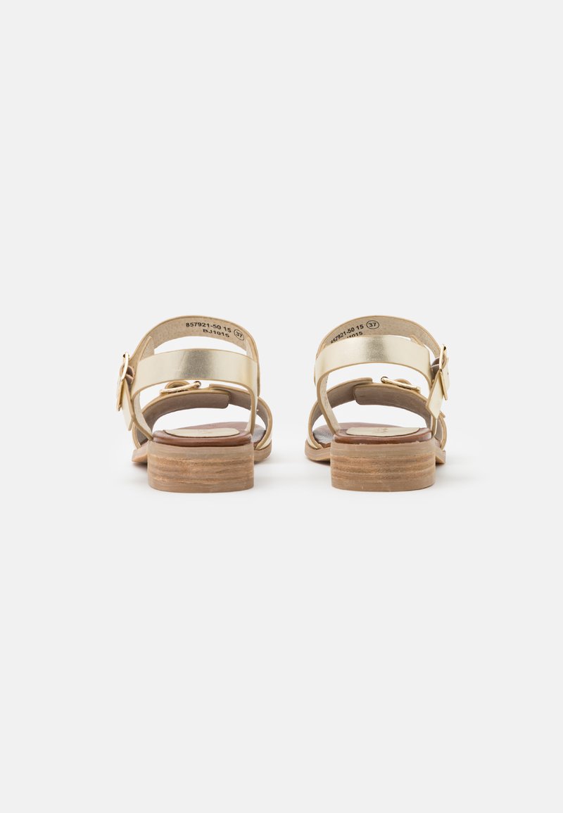 Moda da donna Kickers | acquistare online