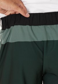 Whistler SALDON - Friluftsbyxor - green