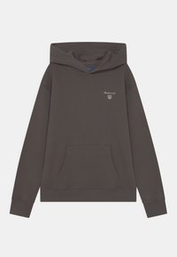 GANT Jersey con capucha - grey
