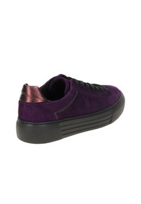 Gabor Sneaker low - purple