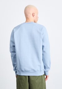 Lys blå crewneck sweatshirt med raglanærmer og ribbede manchetter, parret med olivengrønne bukser, set fra ryggen.