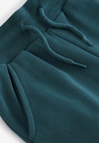 Next UTILITY JOGGERS.  - REGULAR FIT - Kapsáče - teal blue