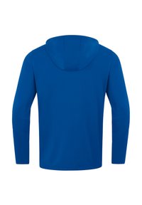 Blaues Kapuzenshirt mit langen Ärmeln, hergestellt aus einem glatten, leichten Stoff. Verfügt über ein einfaches Design ohne sichtbare Muster oder Akzente.