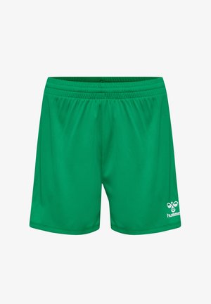Groene sportieve shorts van glad, lichtgewicht stof. Inclusief een elastische tailleband en wit logo aan de linkerkant.